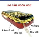 loa tam ngon ngu anh viet 8
